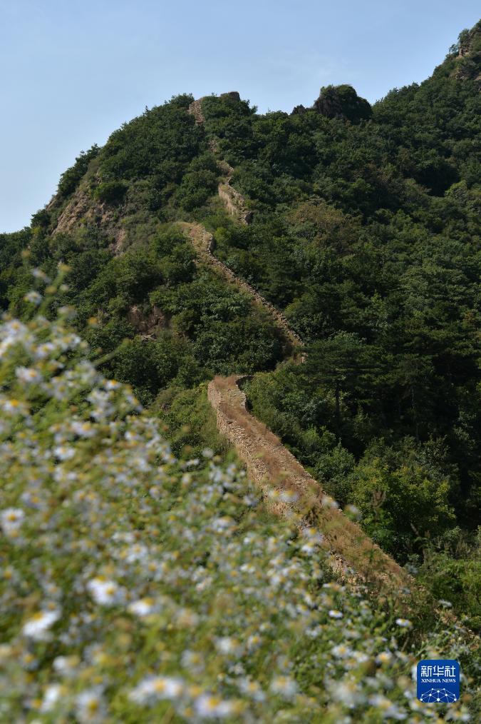 风风棋牌跑胡子